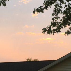 Meet your Posher, Jayden